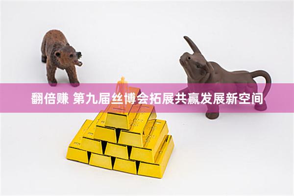 翻倍赚 第九届丝博会拓展共赢发展新空间