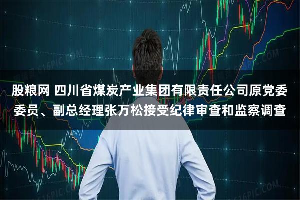 股粮网 四川省煤炭产业集团有限责任公司原党委委员、副总经理张万松接受纪律审查和监察调查