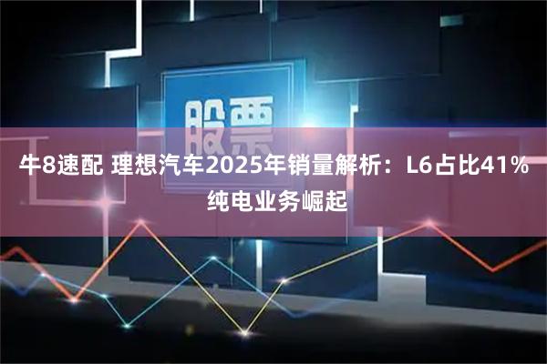 牛8速配 理想汽车2025年销量解析：L6占比41% 纯电业务崛起