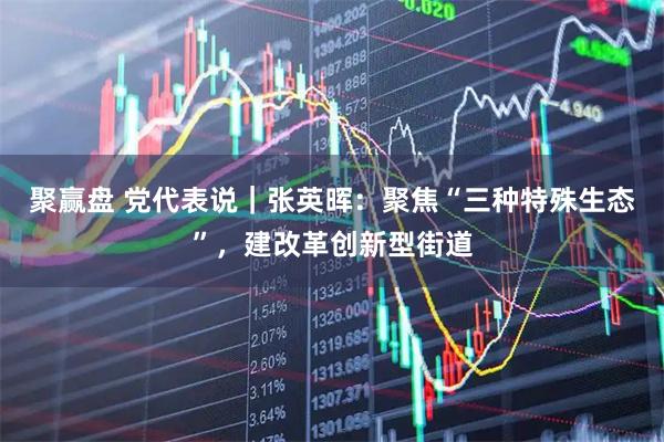 聚赢盘 党代表说｜张英晖：聚焦“三种特殊生态”，建改革创新型街道