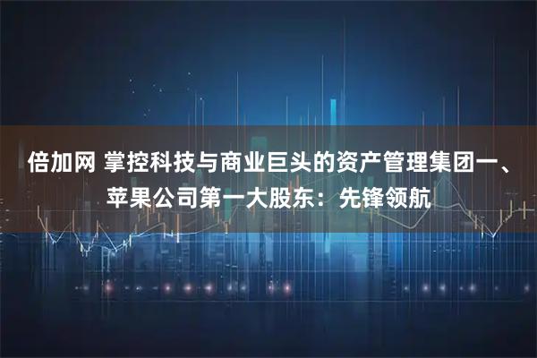 倍加网 掌控科技与商业巨头的资产管理集团一、苹果公司第一大股东：先锋领航